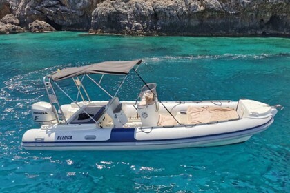 Miete RIB Cantiere Beluga Gommone Beluga 150 cavalli Salerno