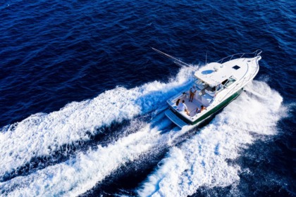 Charter Motorboat Pursuit 3400 