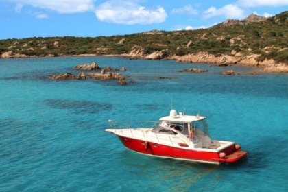 Charter Motorboat GREGORINI DMAX 37 Cannigione