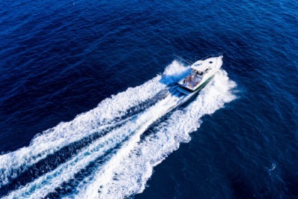 Pursuit 3400 "Express" 12 metres