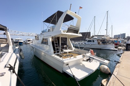 Motora con solarium Gallart 13.50