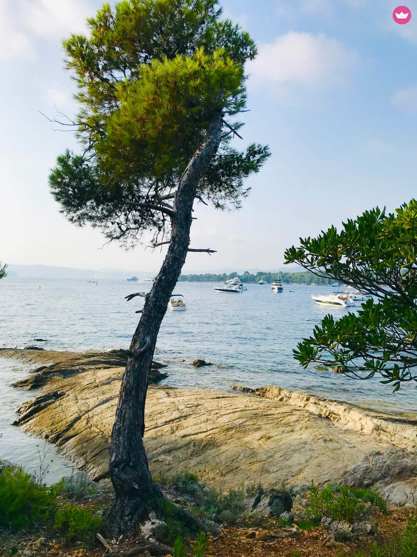 American Marine Grand Banks 42 Classic à Antibes de particuliers et professionnels