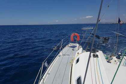 3 C Composites Bongo 960