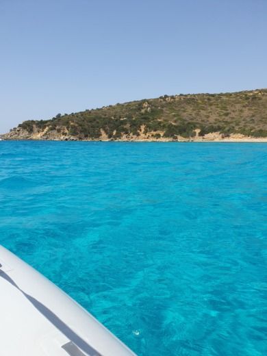 Crabonaxa Without license At Marine At 59 alt tag text