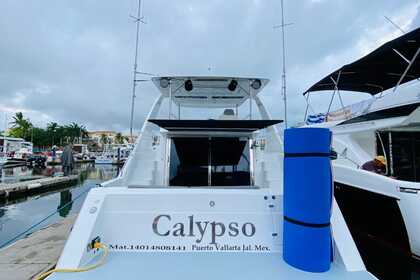 Luxurious Cruiser 44