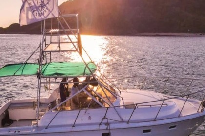 Luhrs 360 Sportfisher