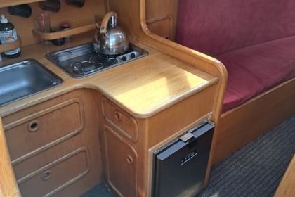 Janmor 28 sy Palomino Zalew wiślany.