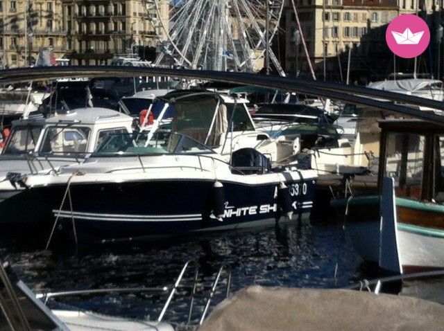Czarter White Shark 206