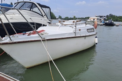 Edel 4 à vendre pavillion français