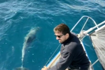 Sailing with Azule a Beneteau Spirit with SUP and Kayak