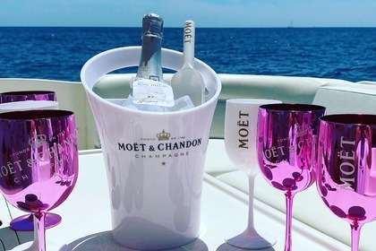 Sea Ray 520 VIP Experience