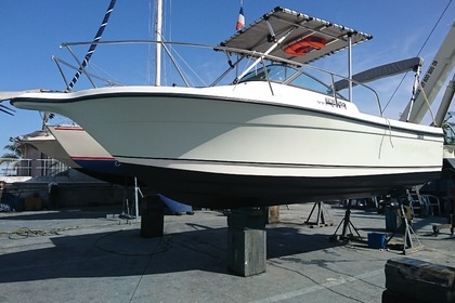 BAYLNER TROPHY 2052 WA PRO