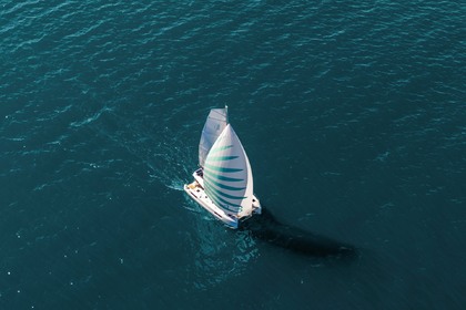 Czarter Katamaran  Lagoon 43 (3 cab) Cugnana Verde