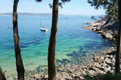 Disfruta del placer de navegar