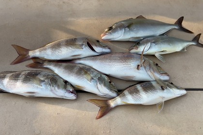 Aluguer de Barco de Pesca