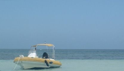 Location Semi-rigide Phoenix 660 Le Gosier