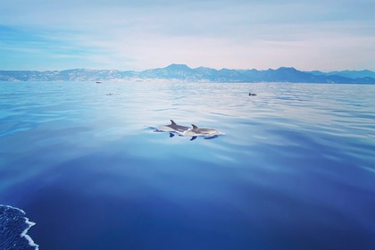 Janneau Cap Camarat 7.5 WA S2