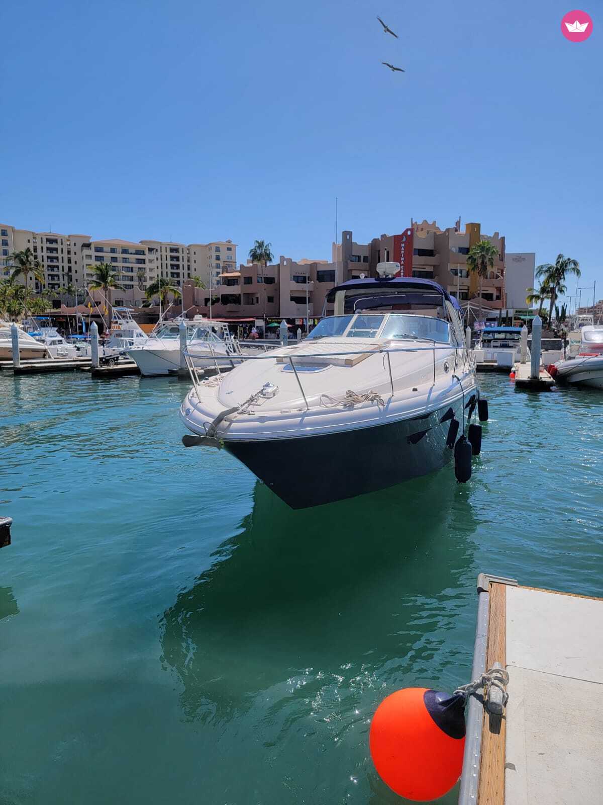 Bateau à moteur Sea Ray 370 Sundancer 2Hrs MinimumBooking 600cv 6
