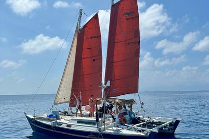 Rental Catamaran Wharram Tiki 38 San Blas Islands