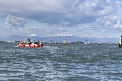 Let's all go boarding!