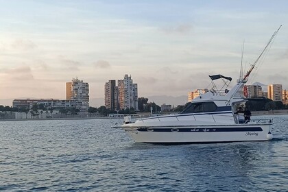 Location Bateau à moteur Doqueve 360 11 metros Alicante