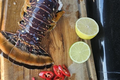 Frost Matrix ( LOUIS VUITTON EDITION )