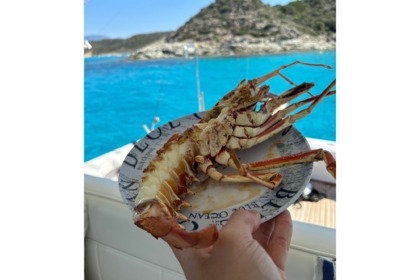 Fishing Charter, Day Charter or Sunset Cruise aboard refitted Cabo HTX44