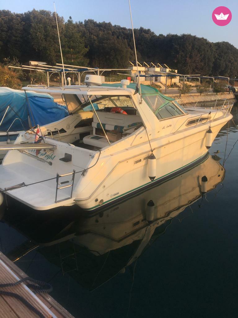 Charter Sea Ray Sundancer 38 Motorboat 