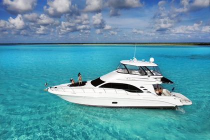 Hire Motorboat Sea Ray 600 Sedan Bridge Cozumel