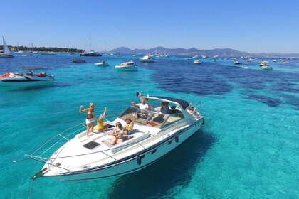 Rental Motorboat FAIRLINE TARGA 33 Cannes