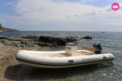 Чартер лодки без лицензии  Capelli Capelli Tempest 530 Альгеро