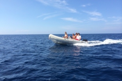 Charter RIB QUICKSILVER 450QR Port d'Andratx