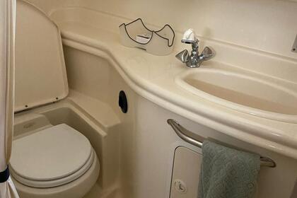 Searay 340 Sundancer YACHT