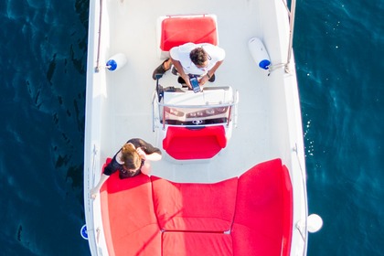 Charter Motorboat speedy cayman 585 Sorrento
