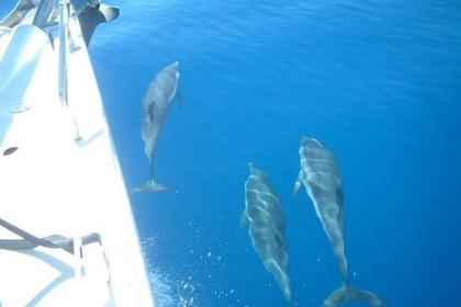 Sorrento, Capri, Amalfi, Positano