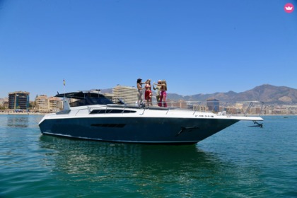 Charter Motorboat SEA RAY 440 Sea ray, dolphin watching Fuengirola