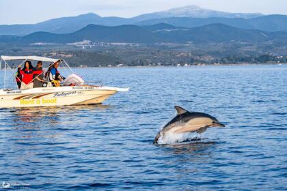 Miete Boot ohne Führerschein  Volos Marine Skiathos 164 Pteleos
