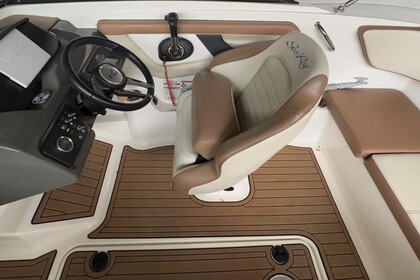 Sea Ray SPXE190 (mit Skipper)