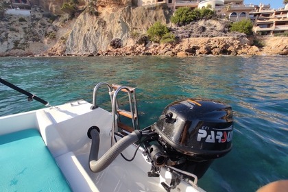 Boat rental without license in Santa Ponsa