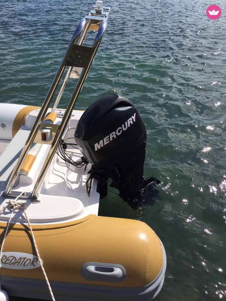 RIB Predator 490 for rental