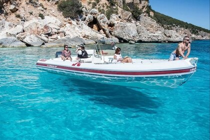 Rental RIB Joker Boat Clubman 26 Avola