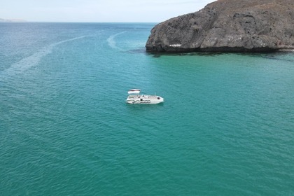 Hire Motorboat Advantage 28 party cat xl La Paz