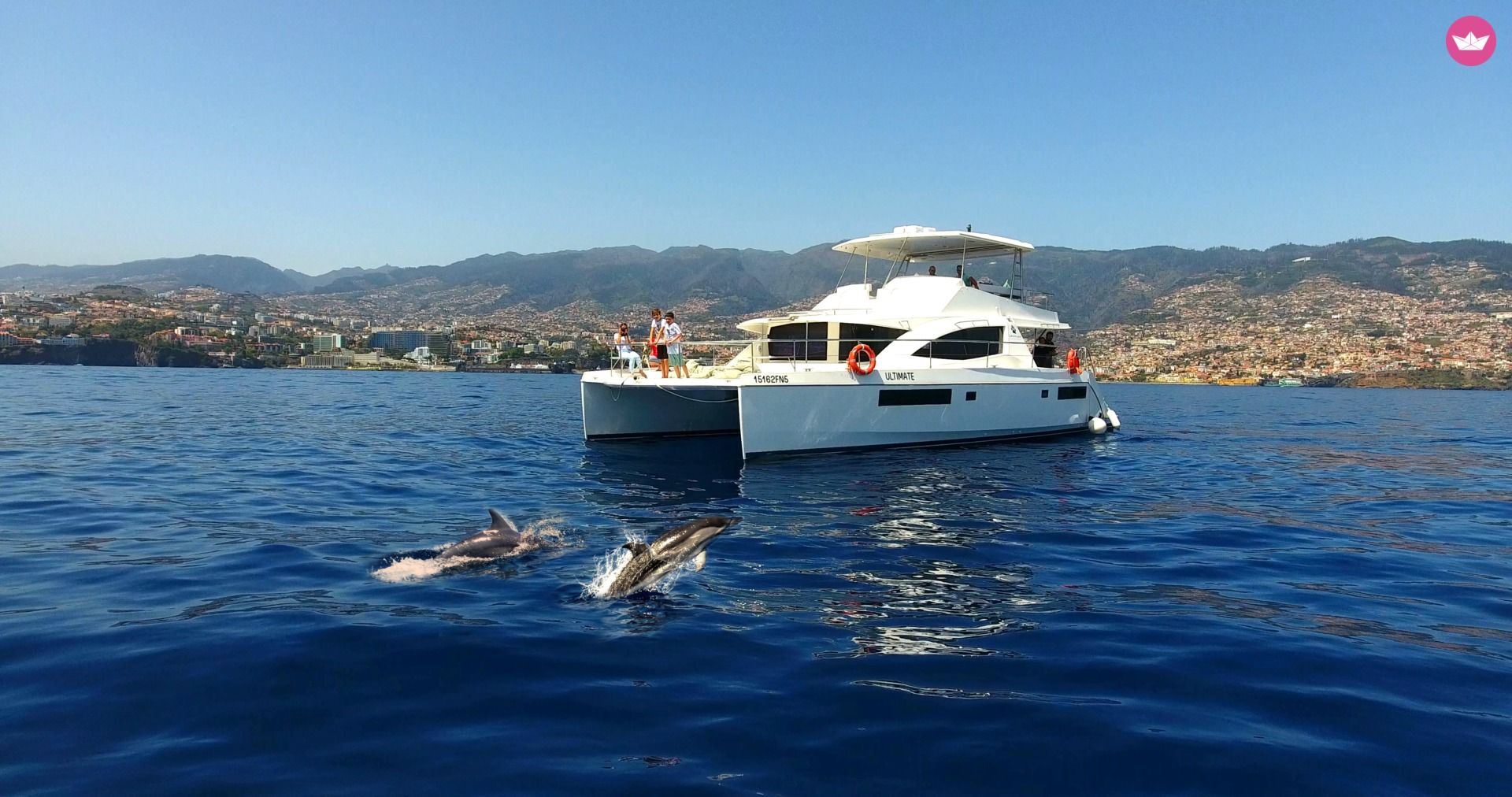 Catamaran Leopard