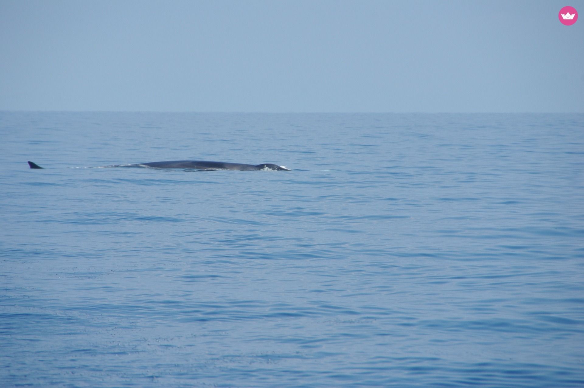 Jeanneau Jeanneau 54