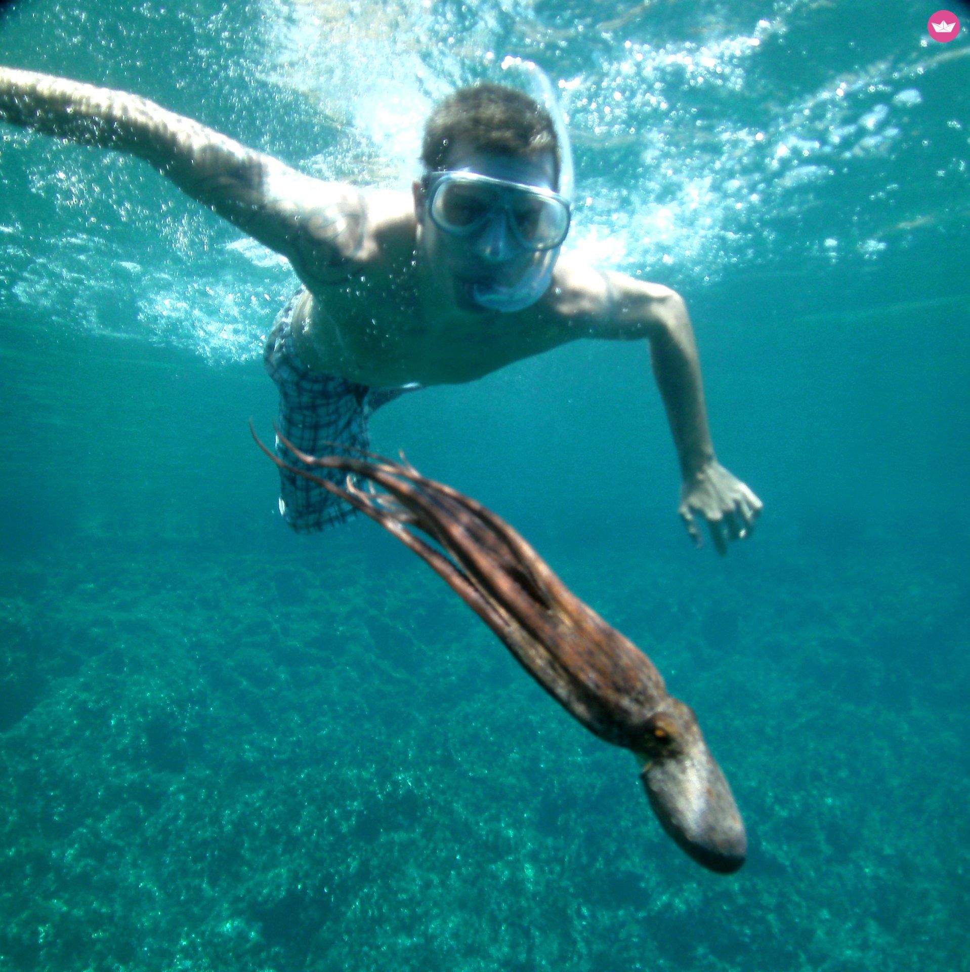 RIB Seastar Horizon for hire