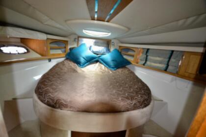 Hire Motorboat Doral 2010 Puerto Vallarta