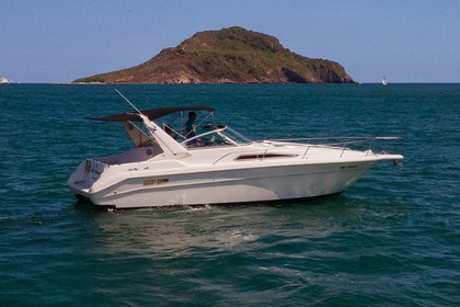 Noleggio Barca a motore Sea Ray 320 Sundancer Mazatlán