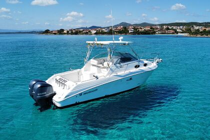 Charter Motorboat Wellcraft Coastal 290 Olbia