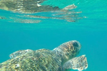 Poseidon Blue Water 185