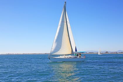 Sailboat Trips and Tours